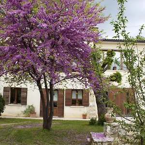 Altè , Paderno del Grappa Italia